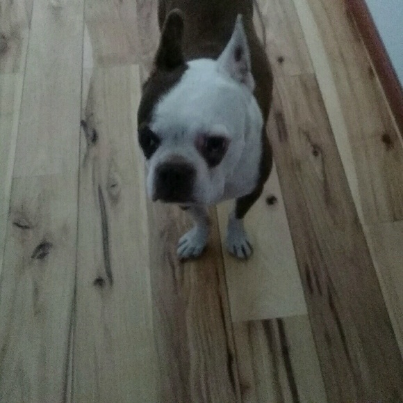 Meet your Posher, Deb - Picture 1 of 1